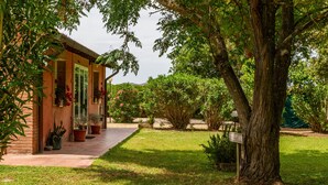 A house with a paved pathway leading to a door, surrounded by lush greenery and a large tree.