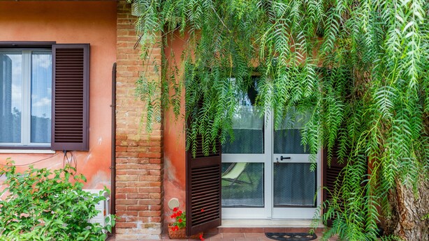 A building with a brick facade, a window with brown shutters, and a door with glass panels.