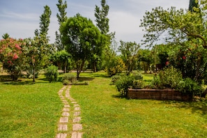 A garden pathway with trees and shrubs. - Apartment 'Portico' with Private Terrace, Wi-Fi and Air Conditioning (Bagno Roselle)