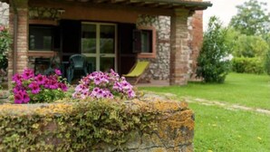 Ein Haus mit einer Steinauffahrt, einer Veranda mit einem Stuhl und einem Garten mit Blumen.