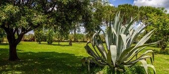 Apartment 'Aia' with Private Garden, Wi-Fi and Air Conditioning