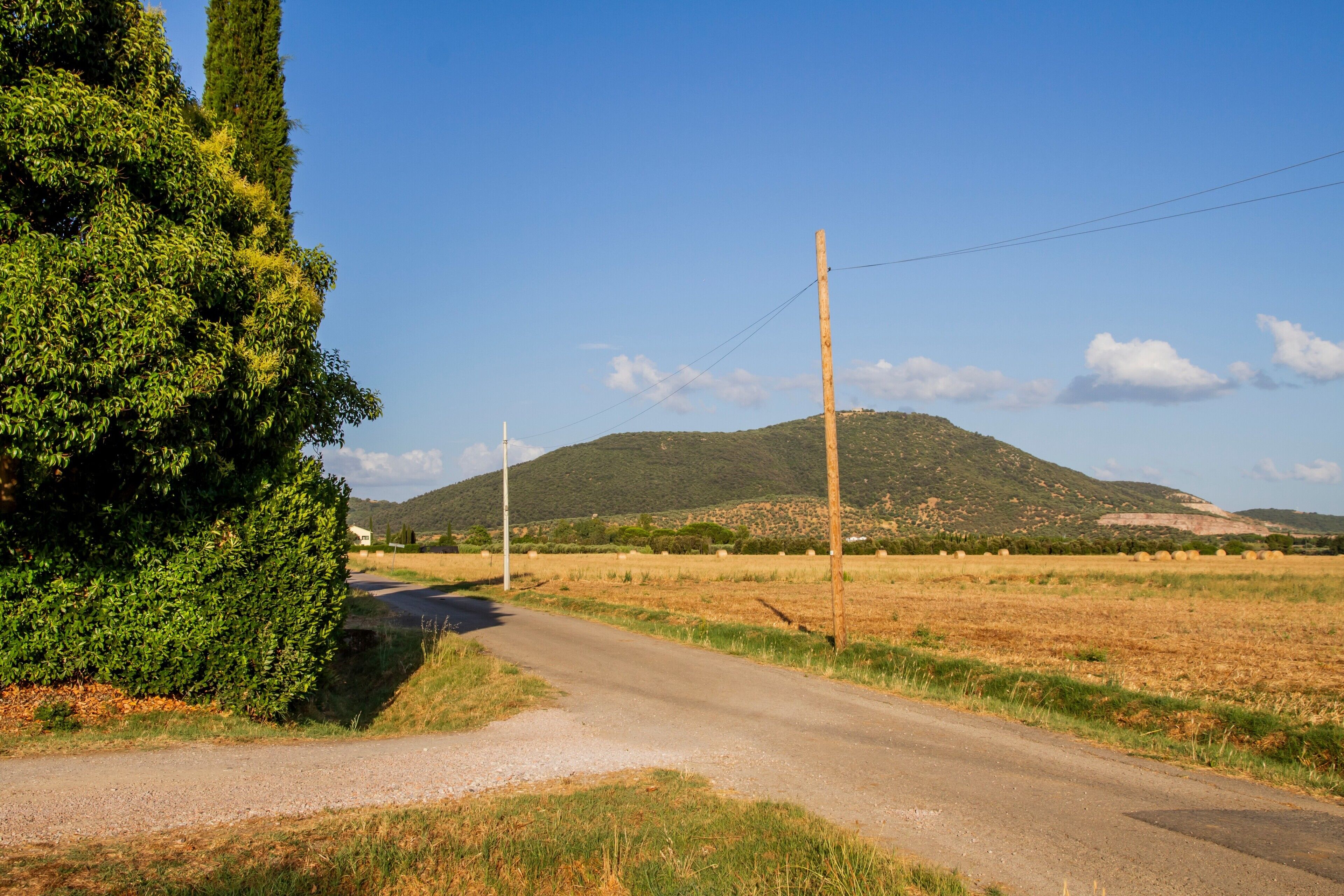 Une route de campagne bordée d’une haie sur le côté gauche, avec une colline en arrière-plan et des poteaux électriques.