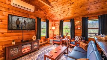 Smart TV, fireplace, video library