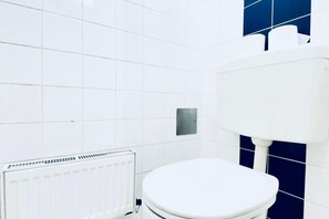 Shower, hair dryer, shampoo, toilet paper