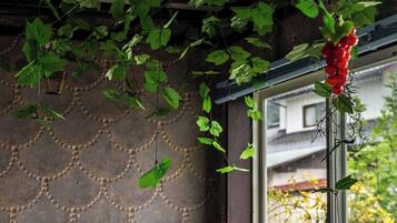 A room with a patterned wall, a window with a view of greenery, and a leather bench.