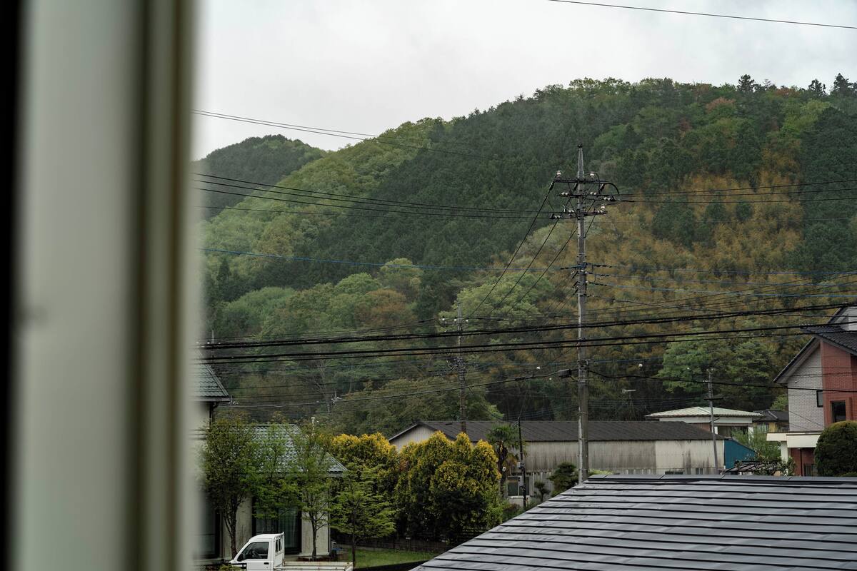 A view of a residential area with houses, a hill, and power lines.
