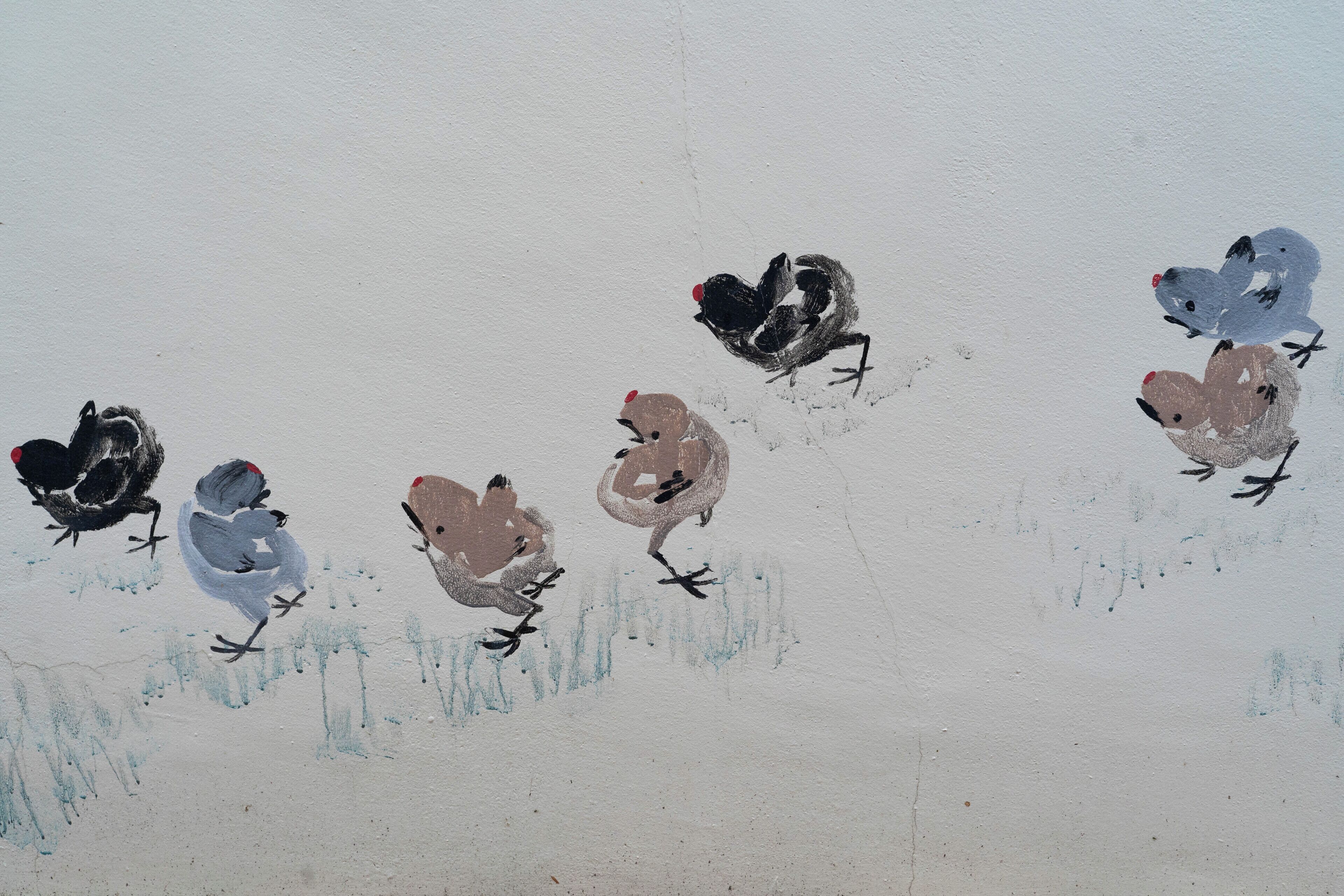 A group of birds painted on a wall.