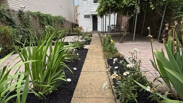 A narrow concrete pathway flanked by garden beds with various plants and flowers, leading to a white house with a dark door. - Charming 1-bedroom house in adorable Elizabeth with AC, WiFi (Elizabeth)