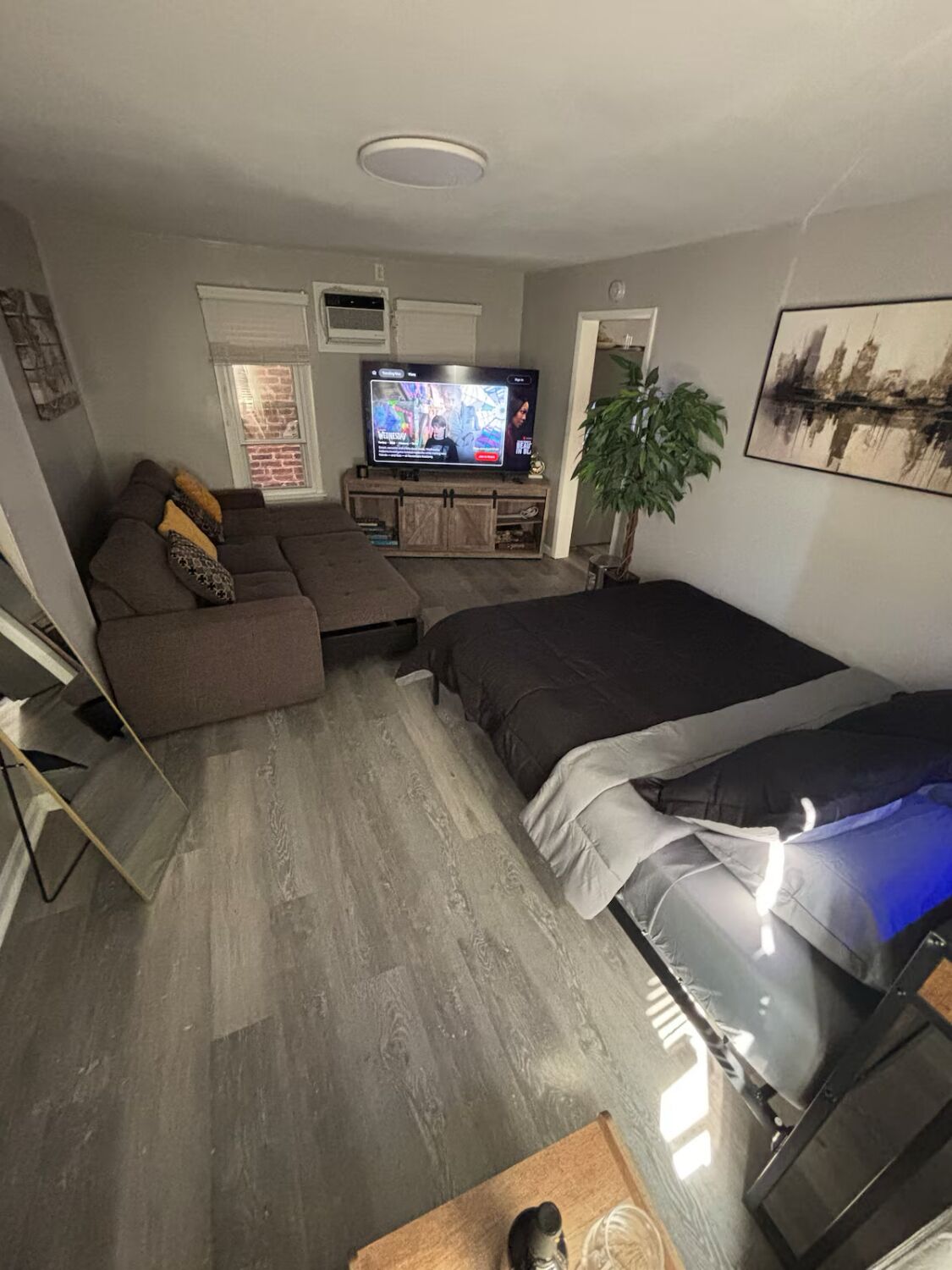 Un ambiente compatto con un divano, un letto, una TV e una pianta.