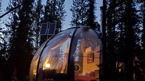 A dome-shaped structure with a window, surrounded by trees.