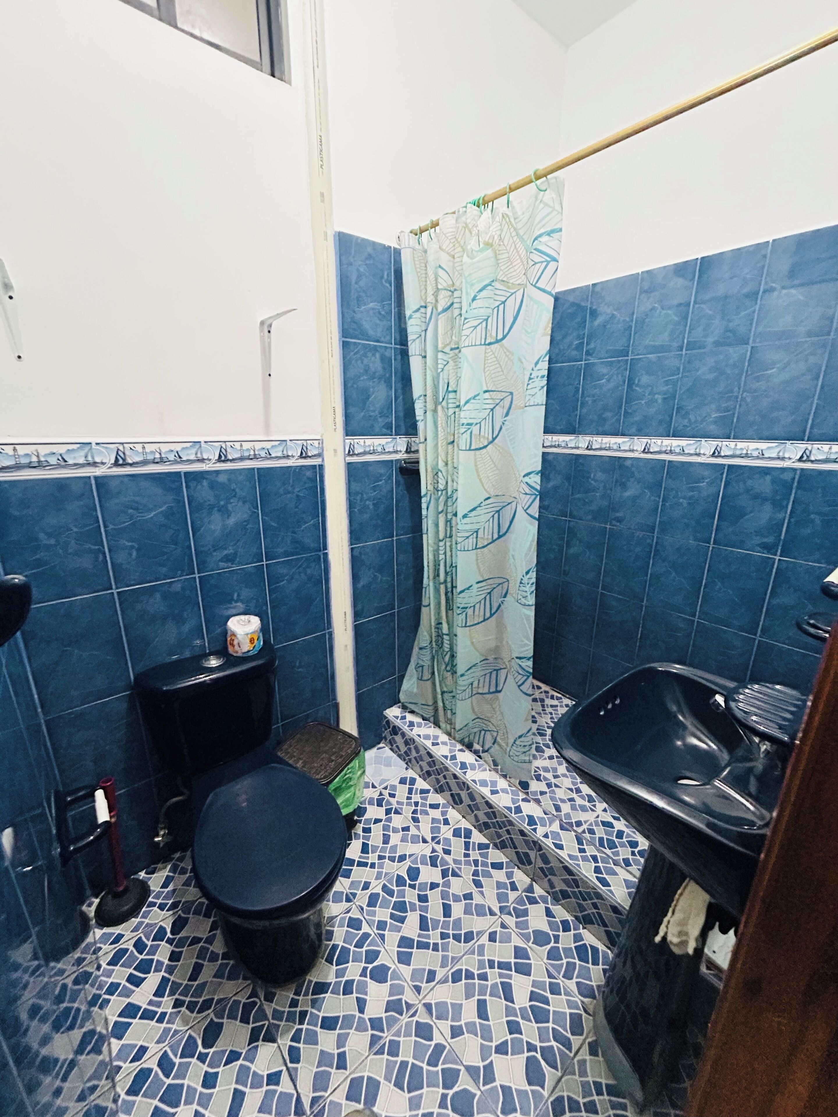 Bidet, towels, soap, toilet paper