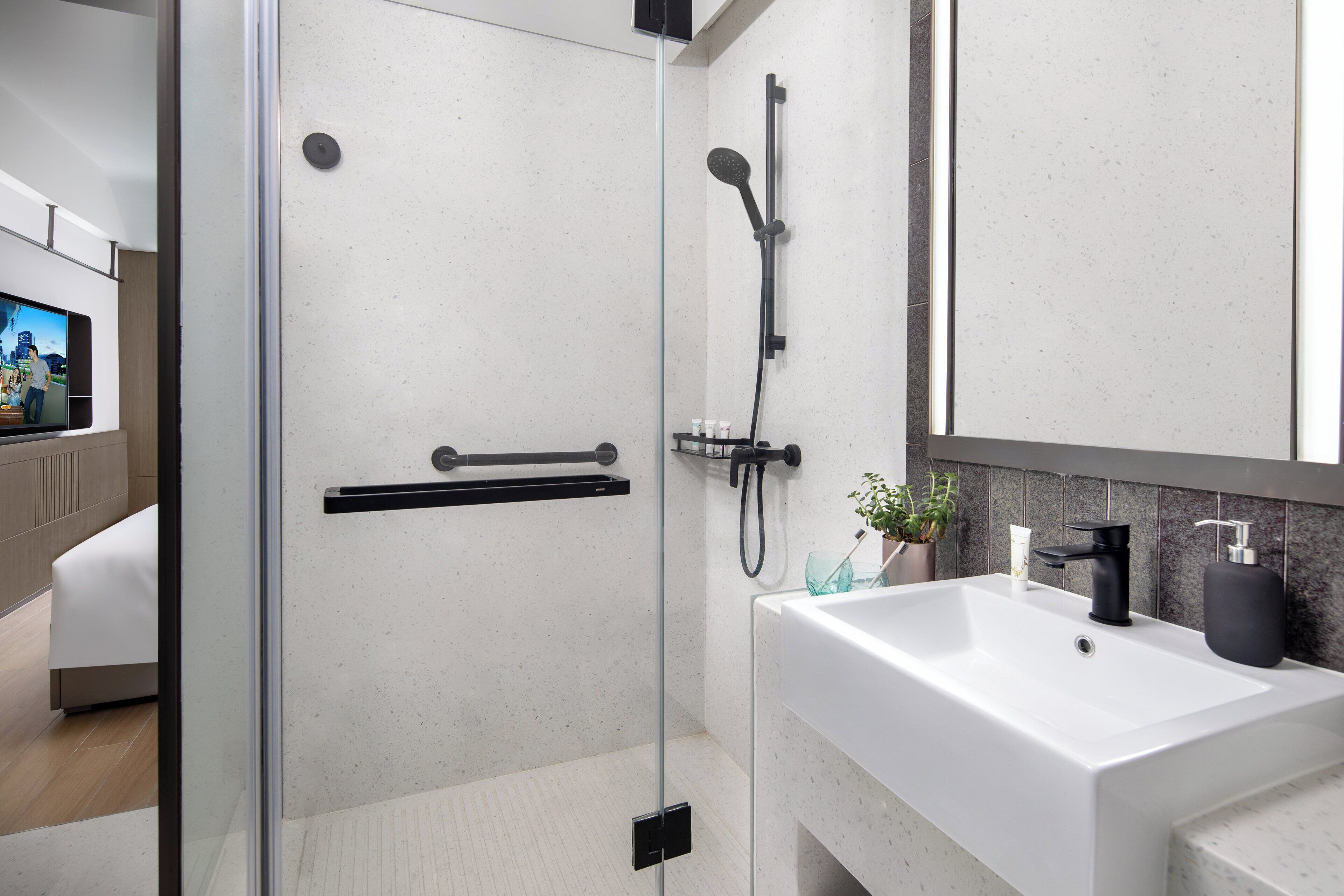 A modern bathroom with a glass shower enclosure, a white sink, and a large mirror.