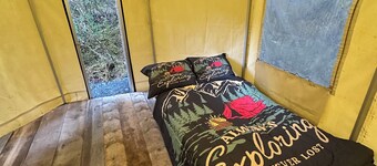  1-room yurt in Seward