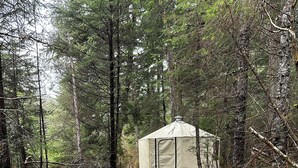 A tent in a forested area with a gravel path leading to it. -  1-room yurt in Seward (Seward)