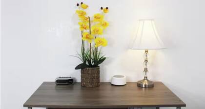 Cozy Spacious Private room in house with AC, WiFi in San Antonio