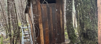 Natural scenic campground in Seward