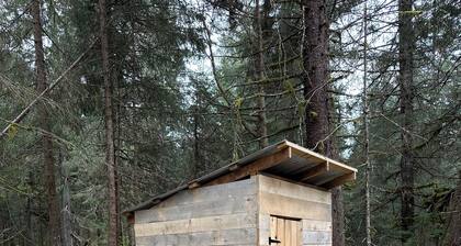 Natural scenic campground in Seward
