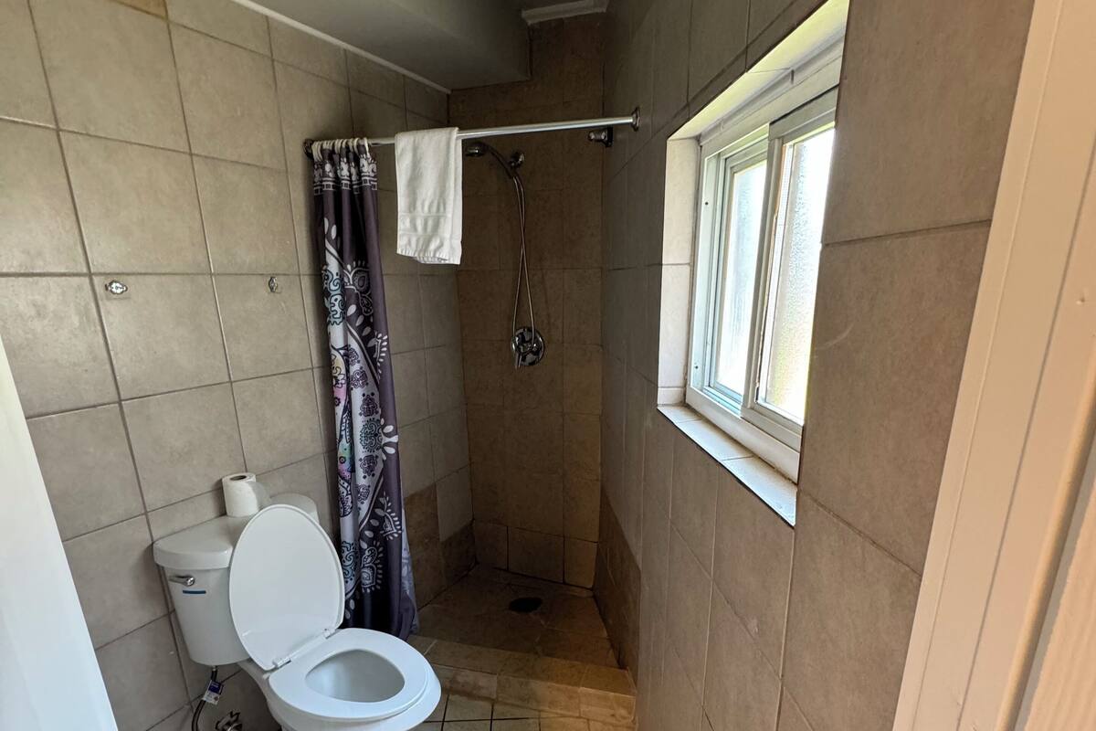 A bathroom with a toilet, shower, and a window.