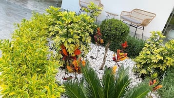 園景