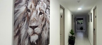 Room 1 Hotel in Armenia, perfect location close to Salento, Valle cocora