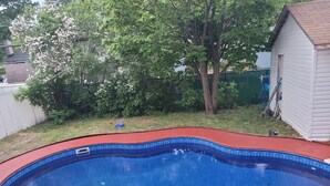 Una piscina con borde rojo e interior azul, rodeada de césped y árboles.