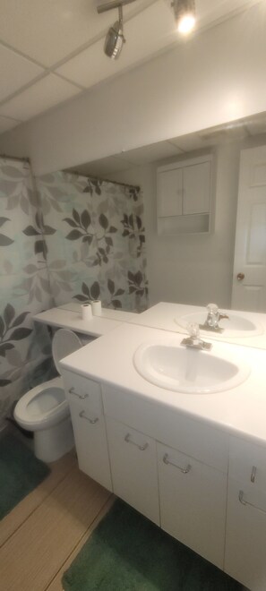 Sèche-cheveux, savon