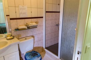 Chuveiro, secador de cabelo, toalhas de banho, sabonete