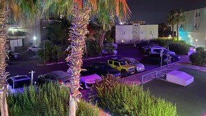 Un espace de stationnement où sont garées plusieurs voitures, dont un SUV jaune, et un palmier au premier plan.