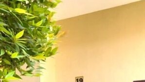 A building with a brown door marked with the number 19, a window with a dark frame, and a plastic chair outside. - Sandi Guest House Syariah (Banyuwangi)