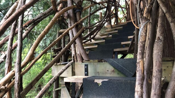 A wooden staircase with a metal handrail, surrounded by natural branches and foliage. - Unique Cortes Treehouse! - Peaceful haven in the trees (Strathcona B)