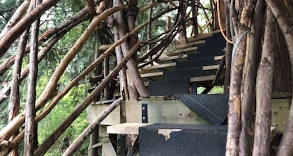 Unique Cortes Treehouse! - Peaceful haven in the trees