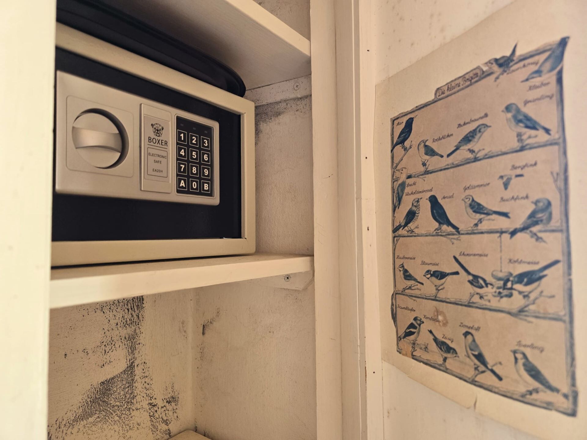 A room with a safe, a wall-mounted bird illustration, and a shelf.