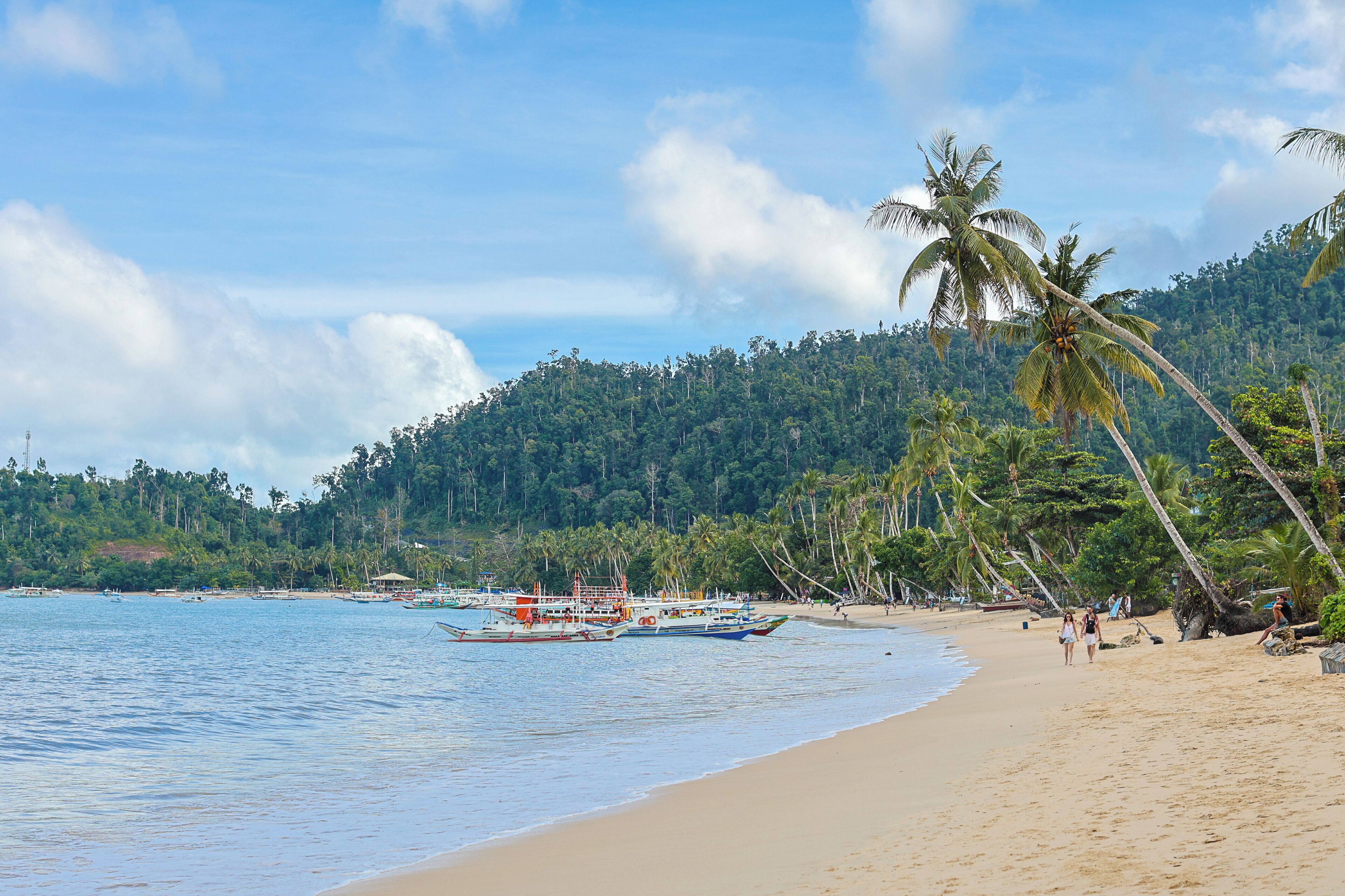 A beach with boats, palm trees, and a forested hill in the background.