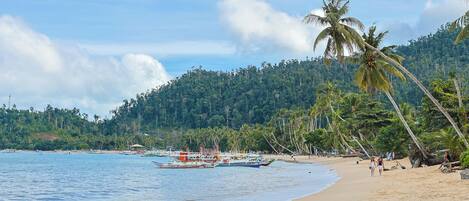 A beach with boats, palm trees, and a forested hill in the background.