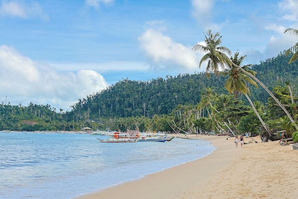 A beach with boats, palm trees, and a forested hill in the background. - Holiday Suites Port Barton (San Vicente)