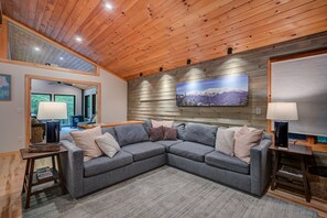 TV, fireplace, books