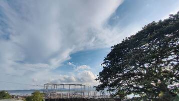 Vista costera con cielo despejado, un árbol y una estructura con armazón metálico.