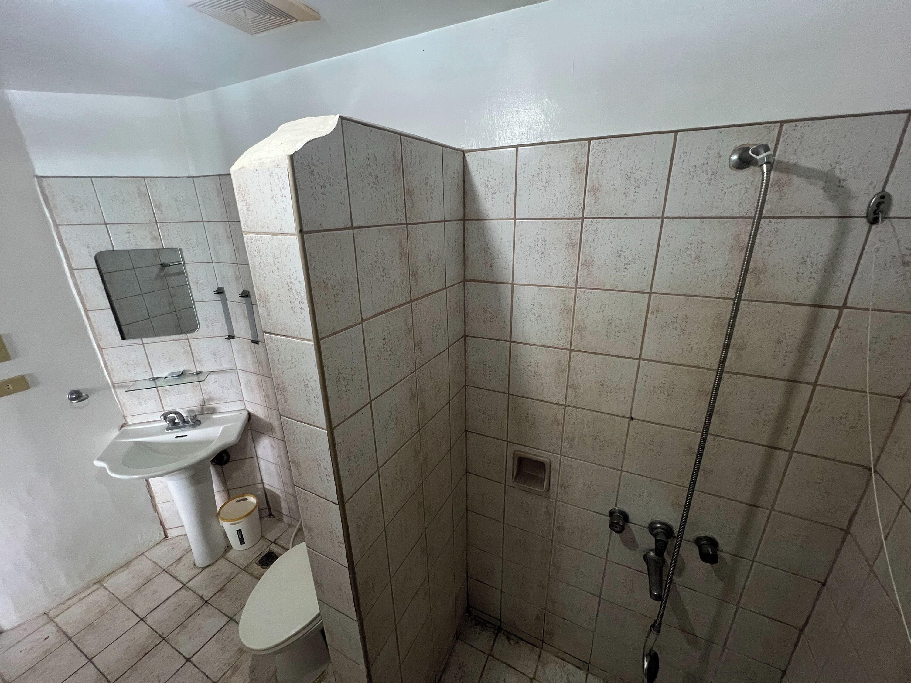 Une salle de bain avec un lavabo, des toilettes et une douche.