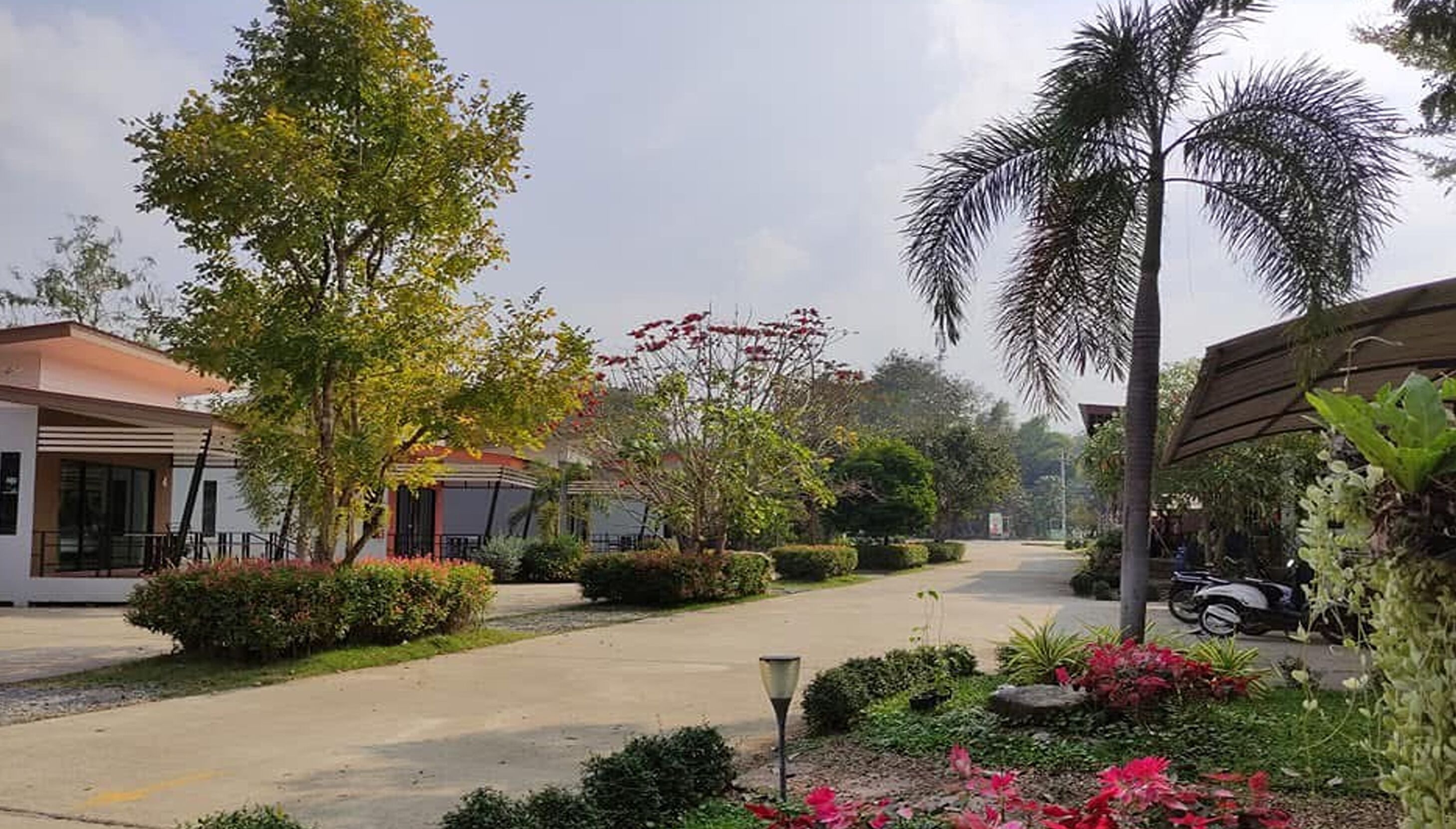 A residential street with houses, a palm tree, and a scooter.