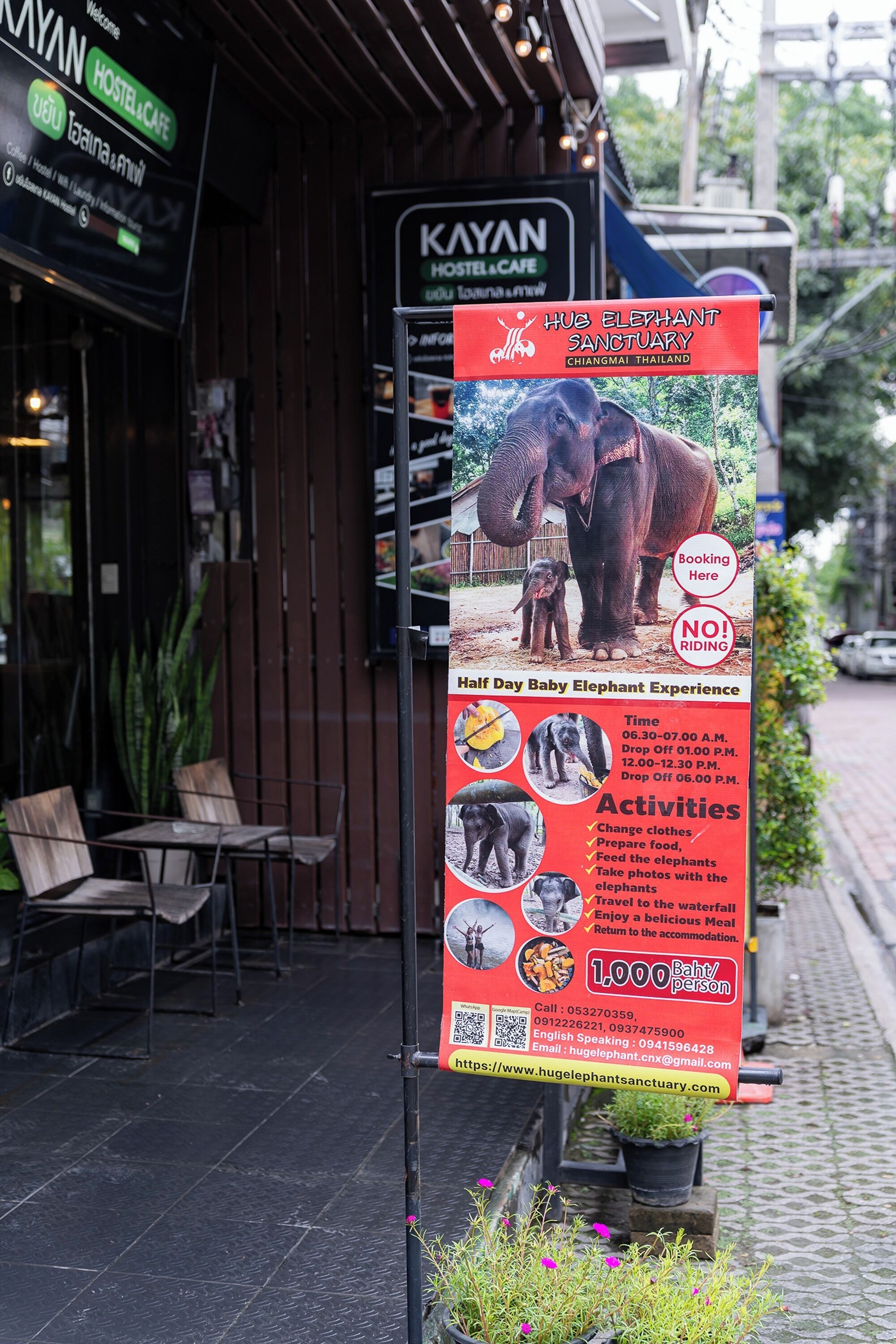 Une auberge de jeunesse appelée KAYAN, avec une enseigne publicitaire annonçant une expérience d'une demi-journée avec des bébés éléphants au sanctuaire des éléphants de Chiang Mai, en Thaïlande.