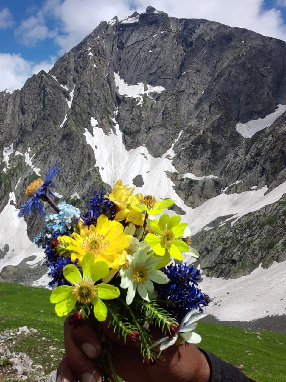 A hand holding a bouquet of flowers in front of a mountain with snow patches.