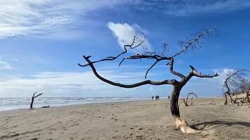 Ubicación cercana a la playa