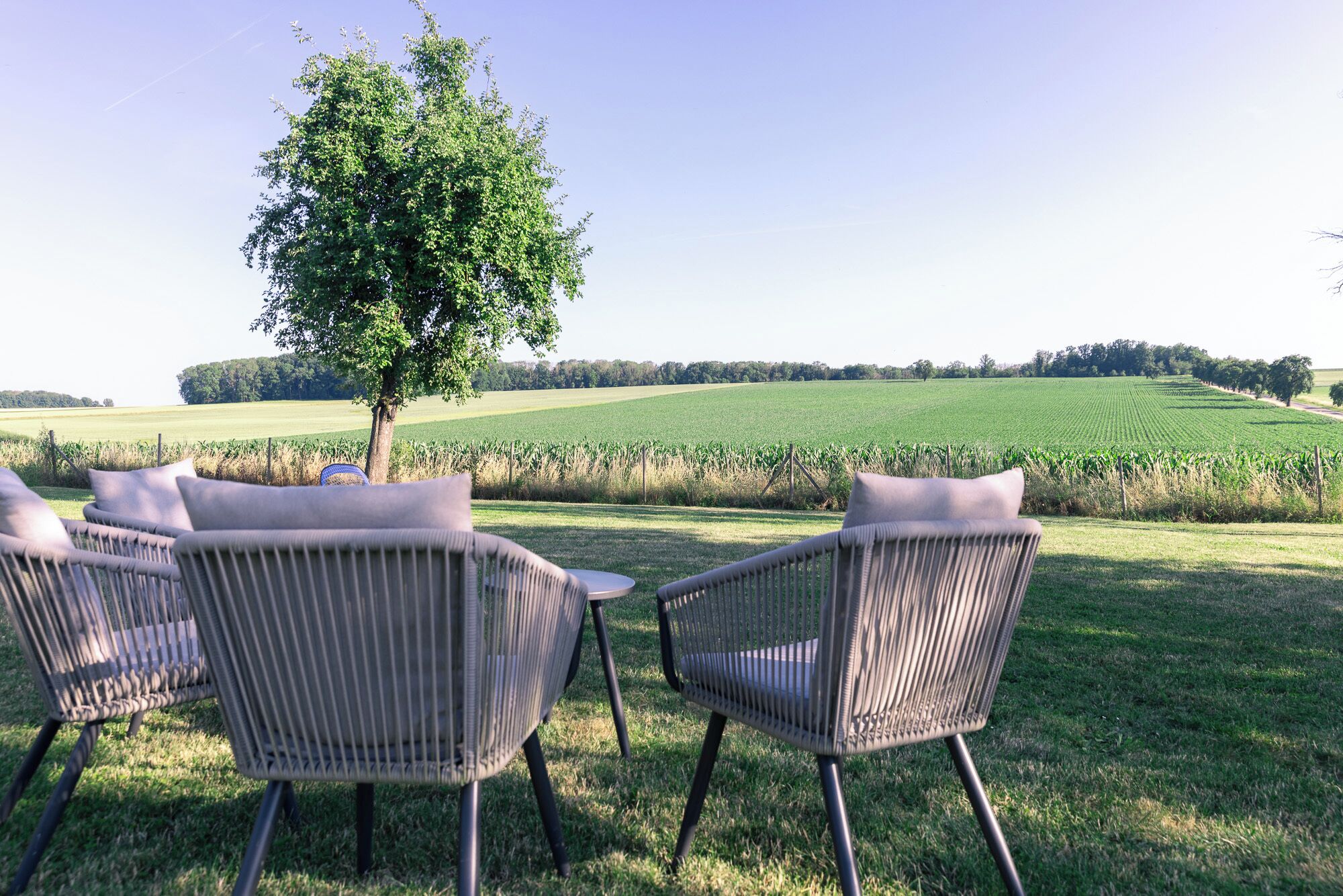 Terrein van de accommodatie