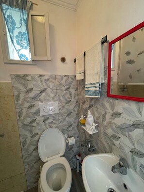Douche, sèche-cheveux, bidet, serviettes fournies