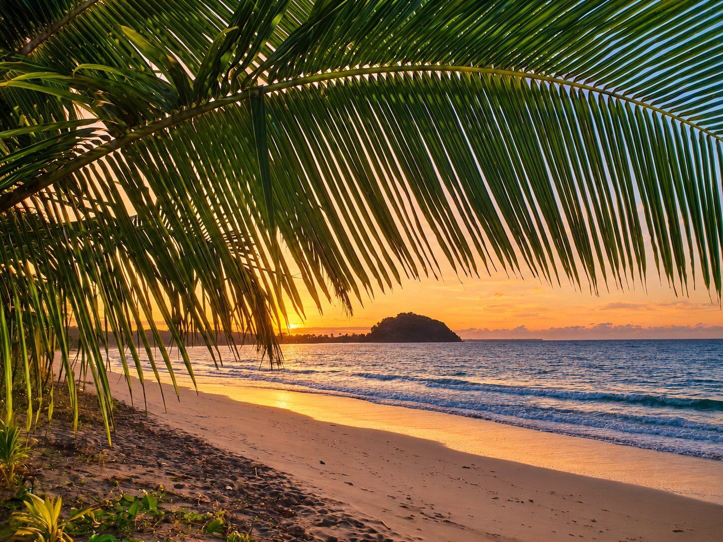 Ein Strand mit Palmen, sandigem Ufer und einem Sonnenuntergang über dem Meer.