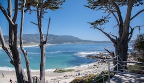 A coastal view with a beach, rocky shoreline, and trees.