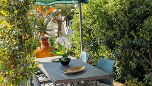 Une terrasse extérieure avec une table et des chaises, entourée d’une végétation luxuriante et de diverses plantes.