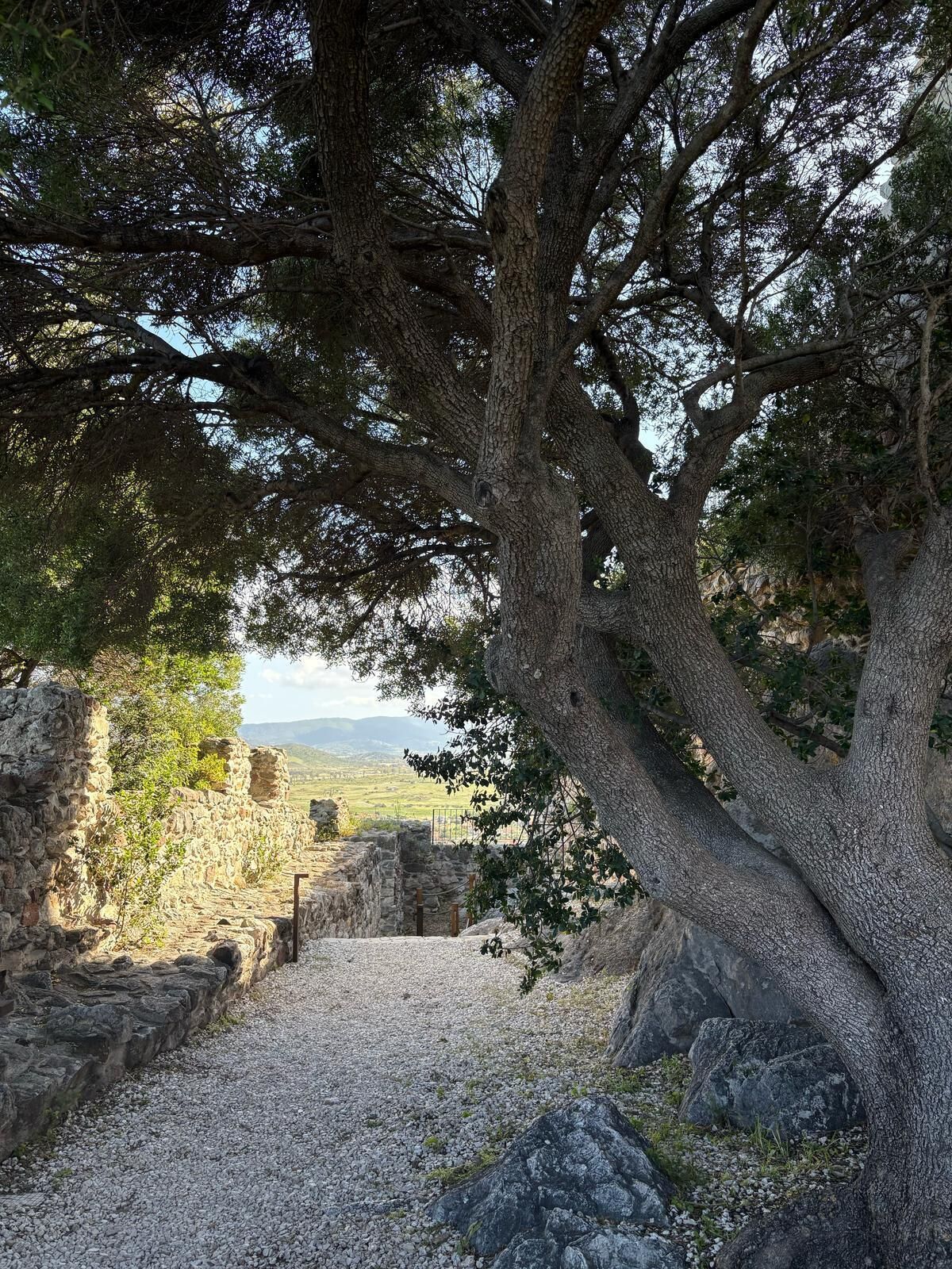 Vista des de l'allotjament
