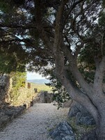 Vista desde la propiedad