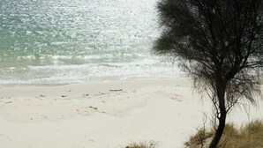 Una playa con un árbol en primer plano y olas al fondo.